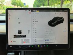 Tesla Model Y Long Range All-Wheel Drive 3D7 - ფოტო 18