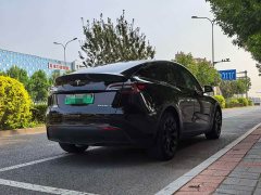 Tesla Model Y Long Range All-Wheel Drive 3D7 - ფოტო 19