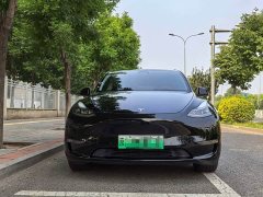 Tesla Model Y Long Range All-Wheel Drive 3D7 - ფოტო 2
