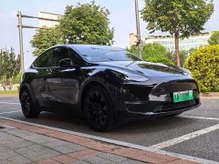 Tesla Model Y Long Range All-Wheel Drive 3D7 - ფოტო 3