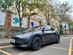 Tesla Model Y Rear-Wheel Drive - ფოტო 1