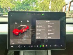 Tesla Model Y Rear-Wheel Drive - ფოტო 10
