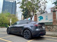 Tesla Model Y Rear-Wheel Drive - ფოტო 12