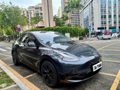 Tesla Model Y Rear-Wheel Drive - ფოტო 3