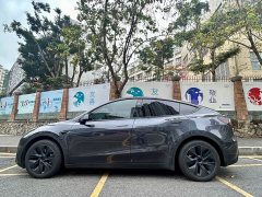 Tesla Model Y Rear-Wheel Drive - ფოტო 4