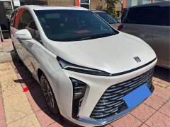 Buick GL8 Luzun Respect Edition - ფოტო 18