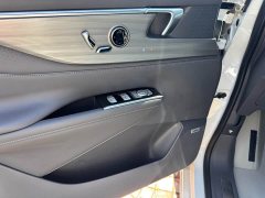 Buick GL8 Luzun Respect Edition - ფოტო 3