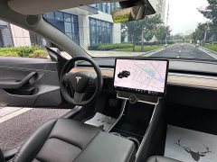 Tesla Model 3 2020 Facelift Standard Range RWD Upgrade - ფოტო 13