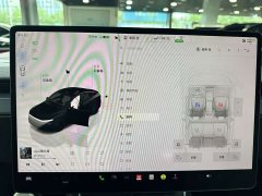 Tesla Model Y Rear-Wheel Drive - ფოტო 8