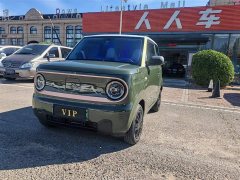 Geely Panda 2024 Panda Mini 200km Endurance Edition - ფოტო 1