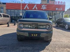 Geely Panda 2024 Panda Mini 200km Endurance Edition - ფოტო 2