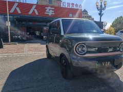 Geely Panda 2024 Panda Mini 200km Endurance Edition - ფოტო 3