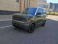 Geely Panda 2024 Panda Mini 200km Endurance Edition - ფოტო 4