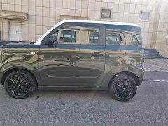 Geely Panda 2024 Panda Mini 200km Endurance Edition - ფოტო 7