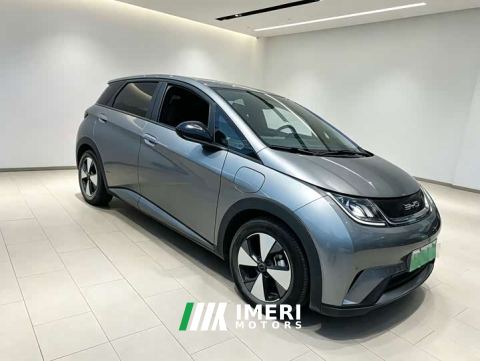 2023 BYD Dolphin 420km Fashion Edition