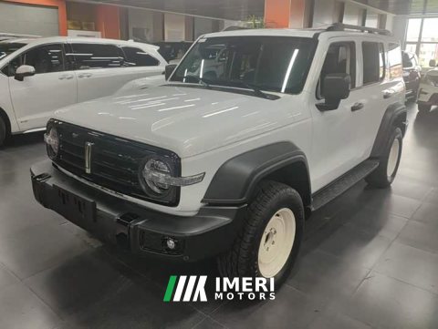 2021 Tank 300 Off-Road Edition 2.0T Conqueror - ავტომობილი ჩინეთიდან
