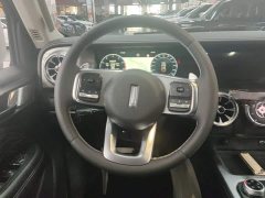 Tank 300 Off-Road Edition 2.0T Conqueror - ფოტო 15