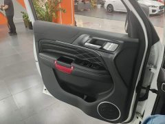 Tank 300 Off-Road Edition 2.0T Conqueror - ფოტო 7