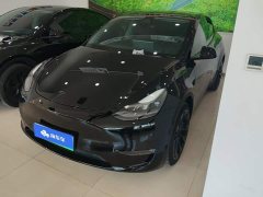 Tesla Model Y Long Range All-Wheel Drive - ფოტო 1