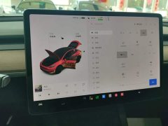 Tesla Model Y Long Range All-Wheel Drive - ფოტო 14