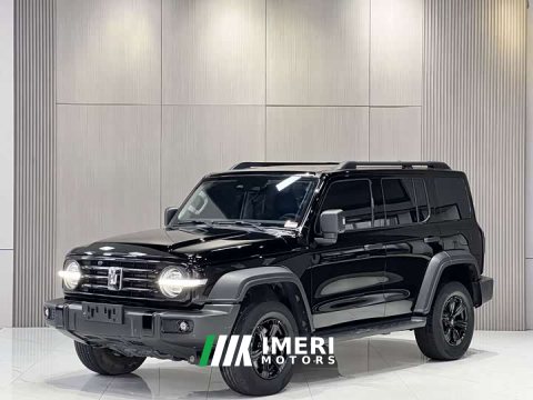 2023 Tank 300 2024 2.0T Conqueror - ავტომობილი ჩინეთიდან