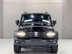 Tank 300 2024 2.0T Conqueror - ფოტო 2