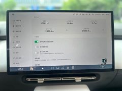 Xpeng P7 2024 Long Range Max - ფოტო 19