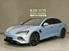 BYD Dolphin Champion Edition 700km Performance Version - ფოტო 1
