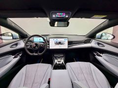 BYD Dolphin Champion Edition 700km Performance Version - ფოტო 10