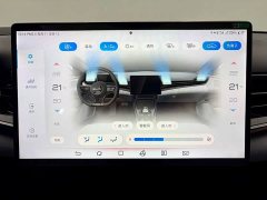 BYD Dolphin Champion Edition 700km Performance Version - ფოტო 11