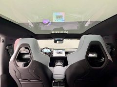 BYD Dolphin Champion Edition 700km Performance Version - ფოტო 9