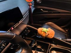 Hyundai Elantra 1.5L CVT Luxury - ფოტო 13