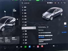 Tesla Model Y 2022 Rear-Wheel Drive - ფოტო 10