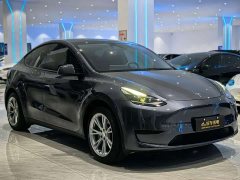 Tesla Model Y 2022 Rear-Wheel Drive - ფოტო 3