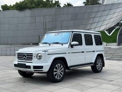 Mercedes-Benz G-Class G 350 - ფოტო 1