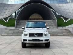 Mercedes-Benz G-Class G 350 - ფოტო 2
