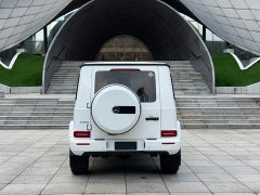 Mercedes-Benz G-Class G 350 - ფოტო 5