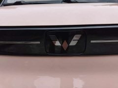 Wuling Hongguang MINIEV Delightful Edition LFP - ფოტო 16