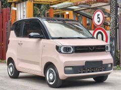 Wuling Hongguang MINIEV Delightful Edition LFP - ფოტო 3