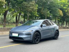 Tesla Model Y Long Range All-Wheel Drive - ფოტო 1