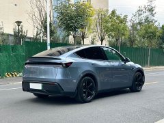 Tesla Model Y Long Range All-Wheel Drive - ფოტო 9