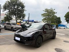 Tesla Model Y Rear-Wheel Drive - ფოტო 1