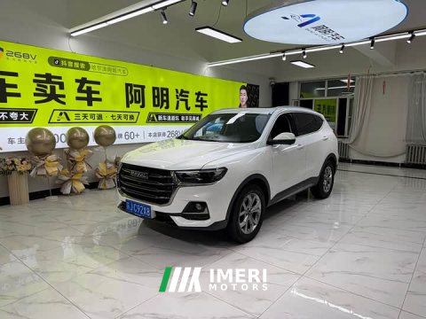 2022 Haval H6 2021 National Trend 1.5T Automatic Champion Edition - ავტომობილი ჩინეთიდან