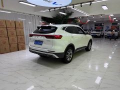 Haval H6 2021 National Trend 1.5T Automatic Champion Edition - ფოტო 6