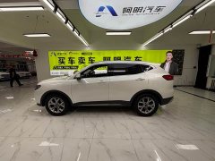 Haval H6 2021 National Trend 1.5T Automatic Champion Edition - ფოტო 7