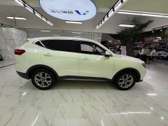 Haval H6 2021 National Trend 1.5T Automatic Champion Edition - ფოტო 8