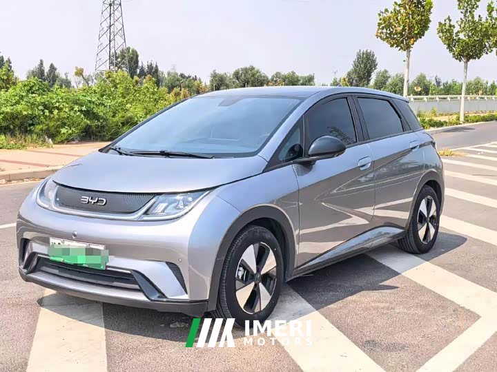 BYD Dolphin 2023 420km Fashion Edition - ავტომობილი ჩინეთიდან