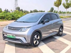 BYD Dolphin 2023 420km Fashion Edition - ფოტო 1