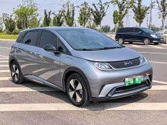 BYD Dolphin 2023 420km Fashion Edition - ფოტო 3