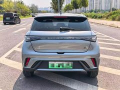 BYD Dolphin 2023 420km Fashion Edition - ფოტო 8